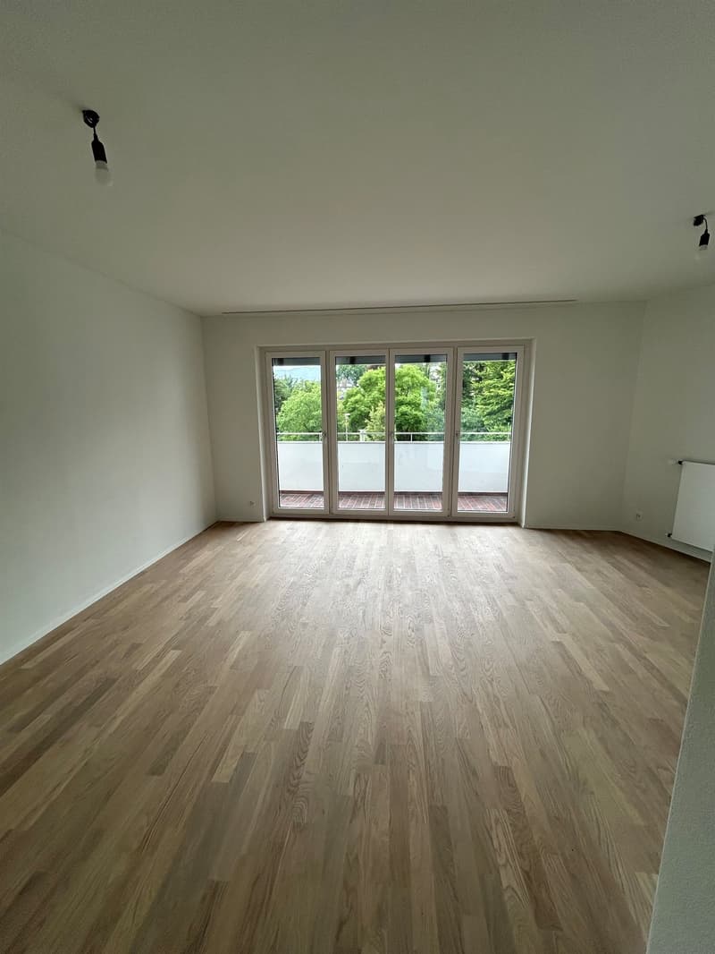 Erstbezug: Attraktive 3.5 Zimmer-Wohnung in Luzern (2)