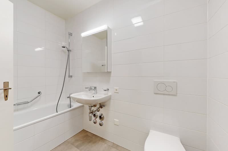 Grand appartement de 6 pièces proche de la Gare Cornavin (6)