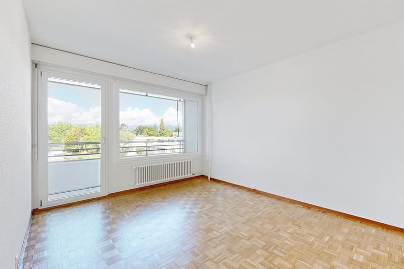 Bel appartement de 7 pièces dans le quartier de Chêne-Bougeries (6)