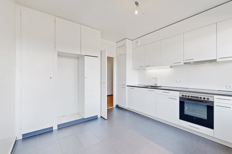 Bel appartement de 7 pièces dans le quartier de Chêne-Bougeries (4)