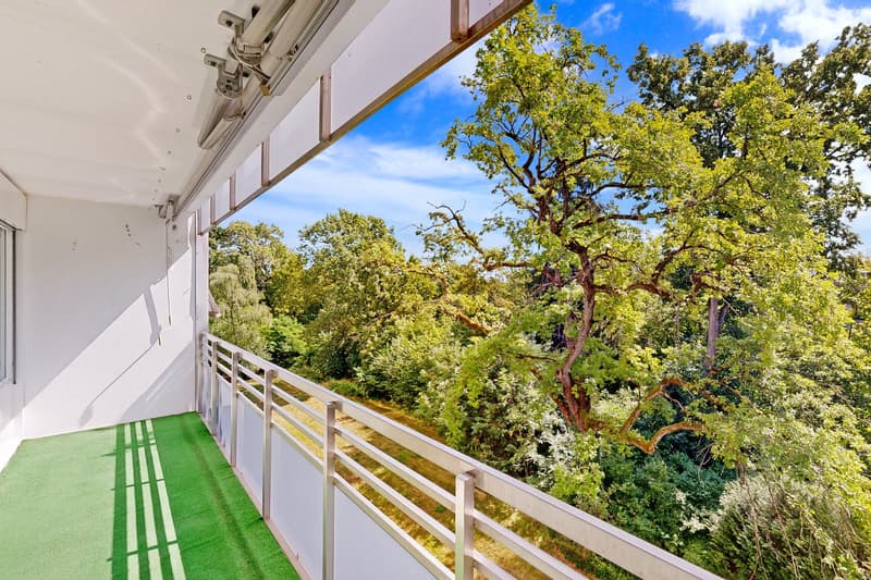 Bel appartement de 7 pièces dans le quartier de Chêne-Bougeries (5)
