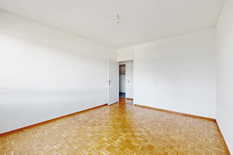 Bel appartement de 7 pièces dans le quartier de Chêne-Bougeries (8)