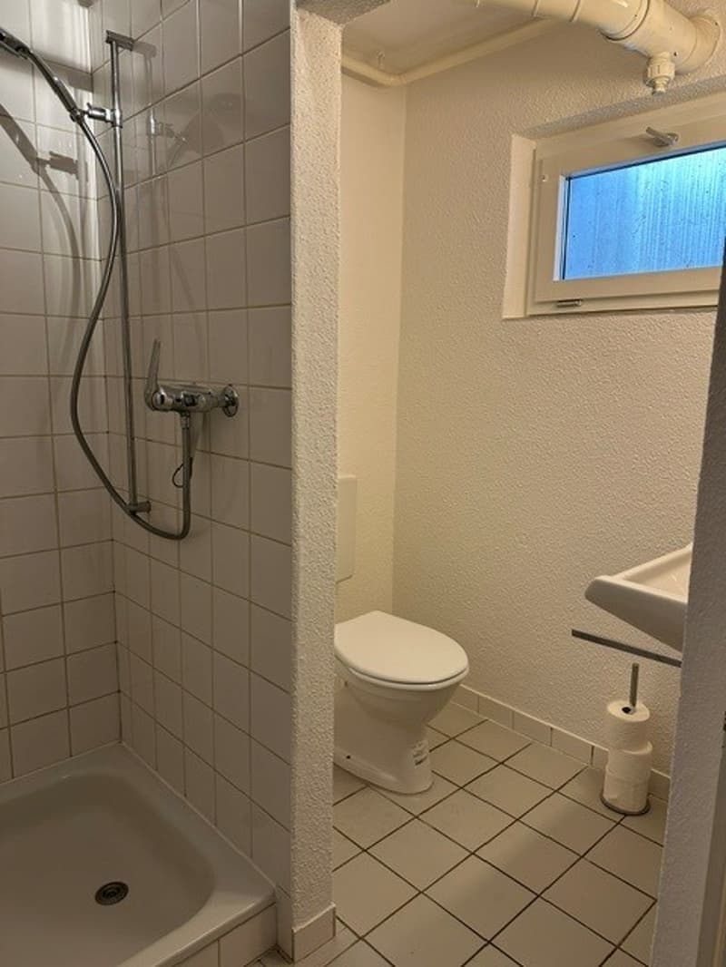 Attraktives Wohnstudio im steuergünstigen und beliebten Kilchberg! (9)