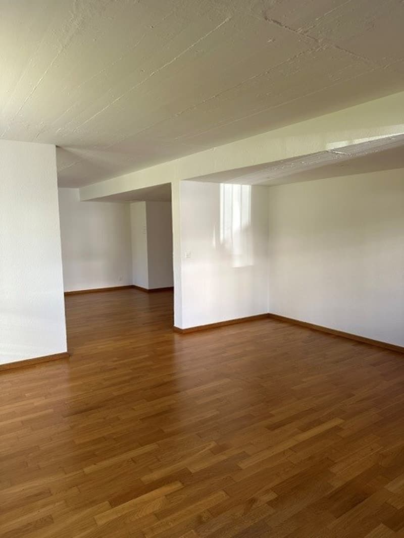 Attraktives Wohnstudio im steuergünstigen und beliebten Kilchberg! (3)