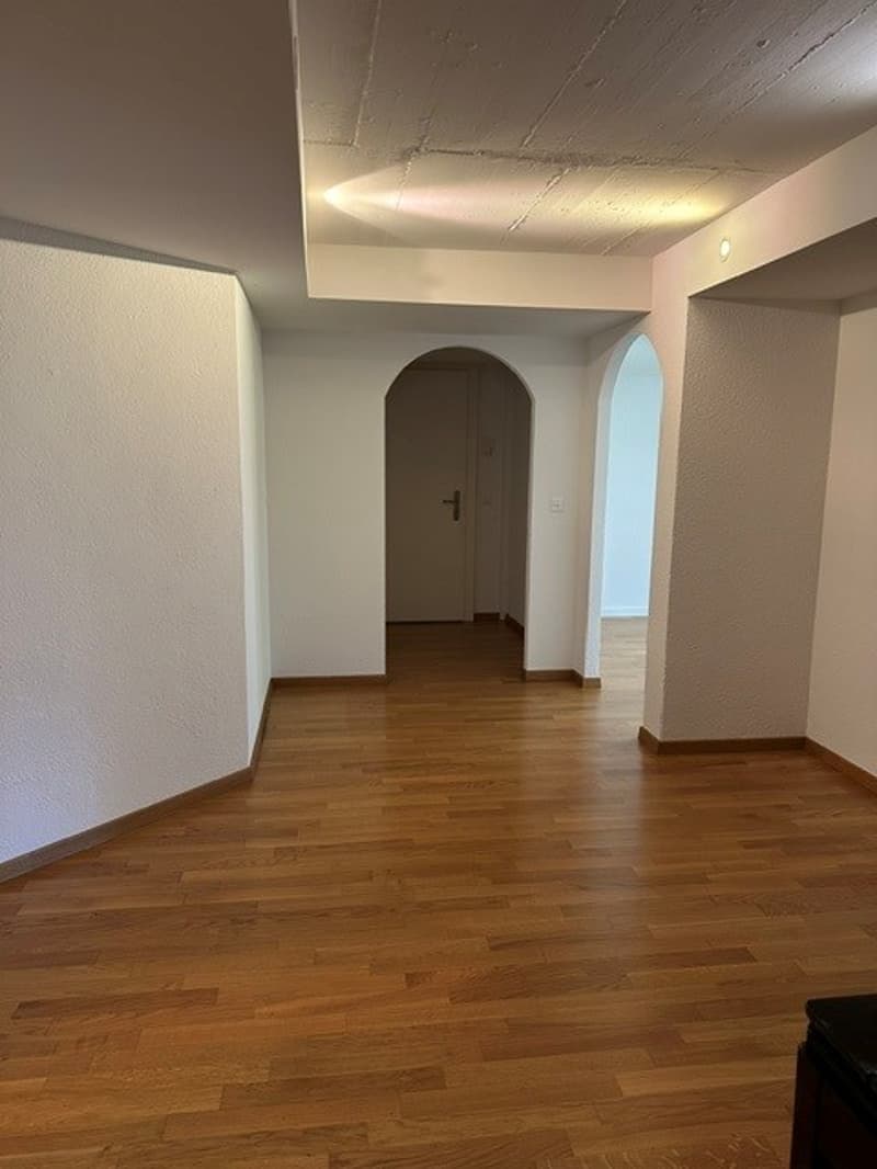 Attraktives Wohnstudio im steuergünstigen und beliebten Kilchberg! (7)