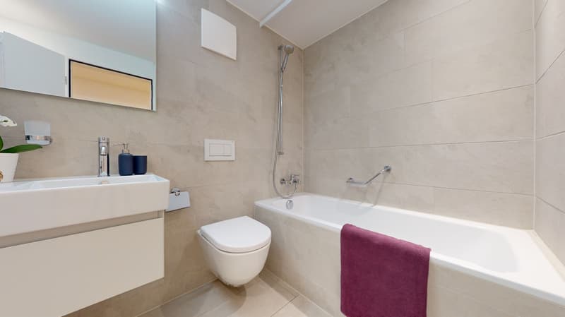Modernisierte Wohnung im Herzen von Solothurn. Einrichtungsgutschein dazu. (10)