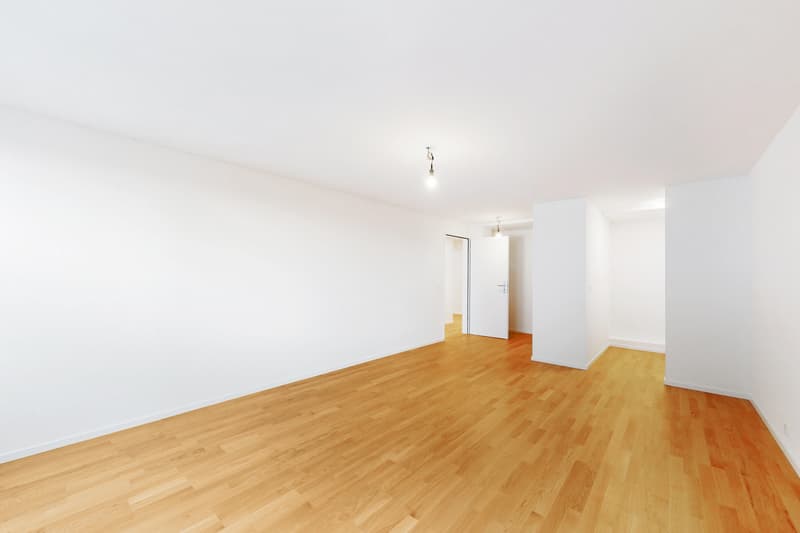 Modernisierte Wohnung im Herzen von Solothurn. Einrichtungsgutschein dazu. (7)