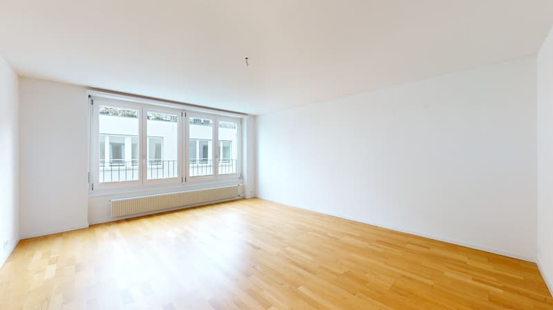 Modernisierte Wohnung im Herzen von Solothurn. Einrichtungsgutschein dazu. (8)