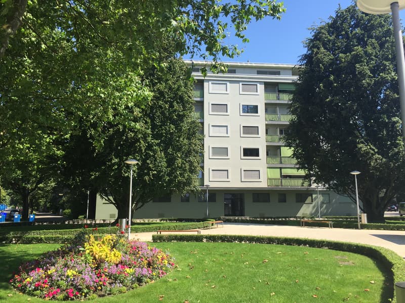 Die perfekte 1-Zimmerwohnung im Gellert (2)