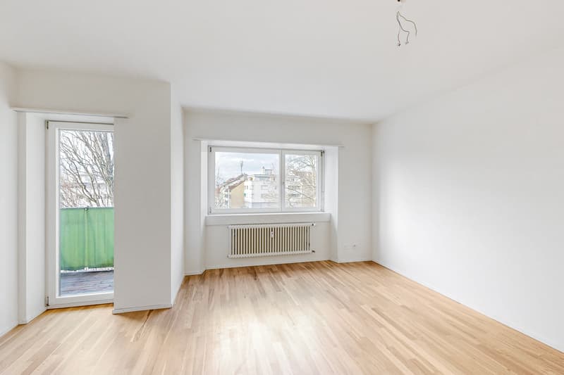 Die perfekte 1-Zimmerwohnung im Gellert (5)