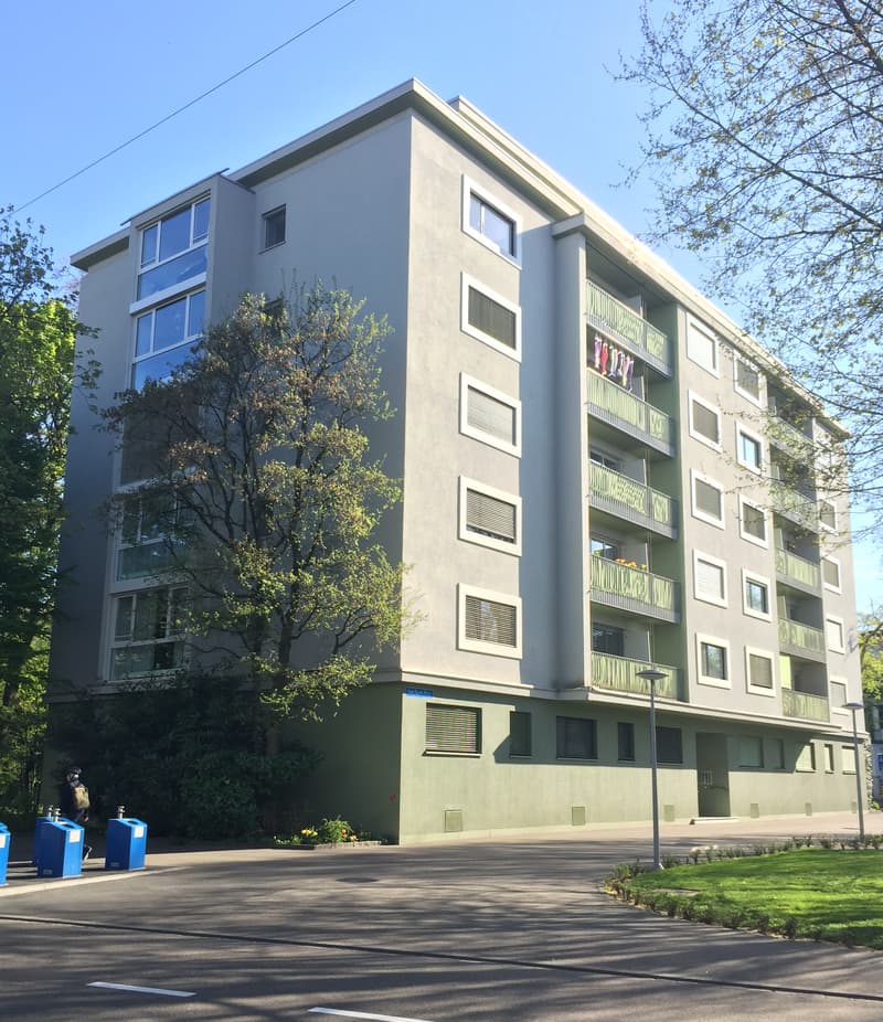 Die perfekte 1-Zimmerwohnung im Gellert (1)