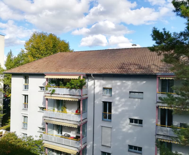 Wohnen im schönen Lehenmatt-Quartier (1)