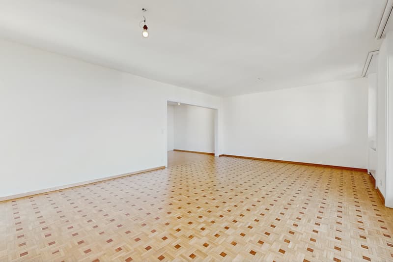 Votre logement à Pully avec vue panoramique ! (3)