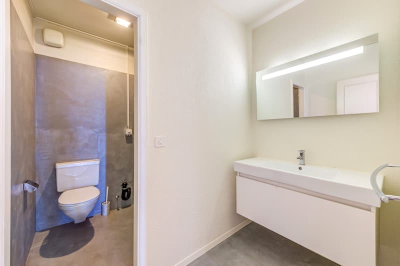 Votre logement à Pully avec vue panoramique ! (11)