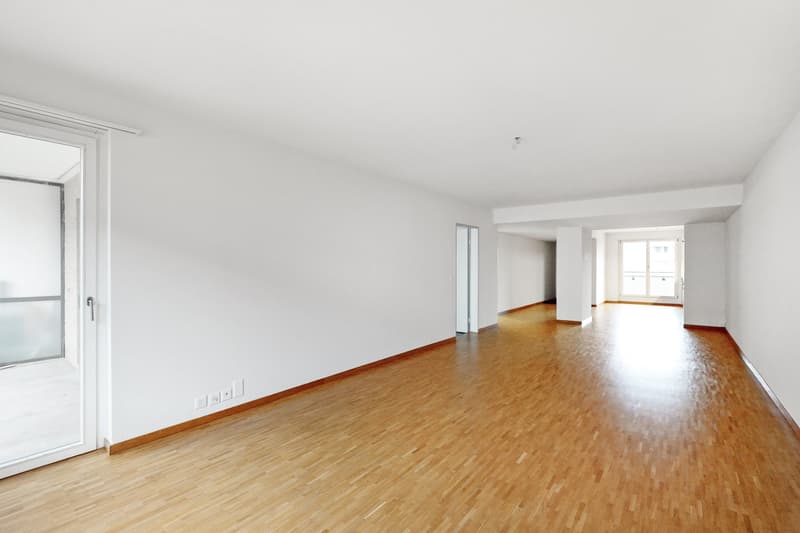 Grosszügige und helle Wohnung an zentraler Lage (2)