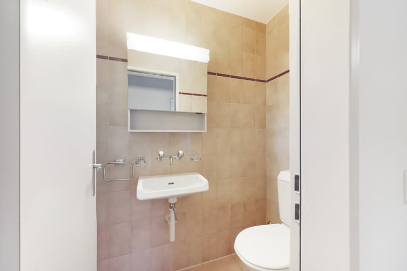 Toll gelegene Wohnung in Oerlikon! (9)