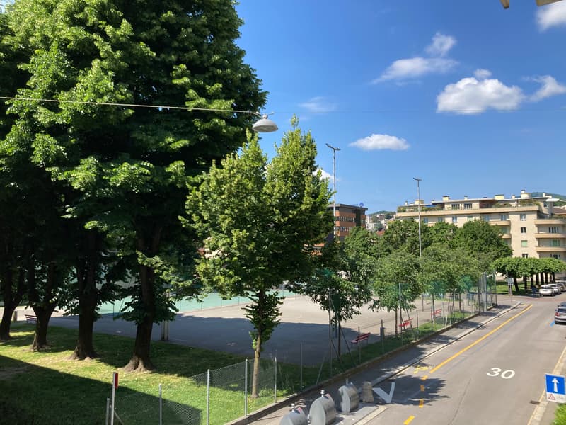 Vivere Lugano, a pochi minuti dal centro città (1)