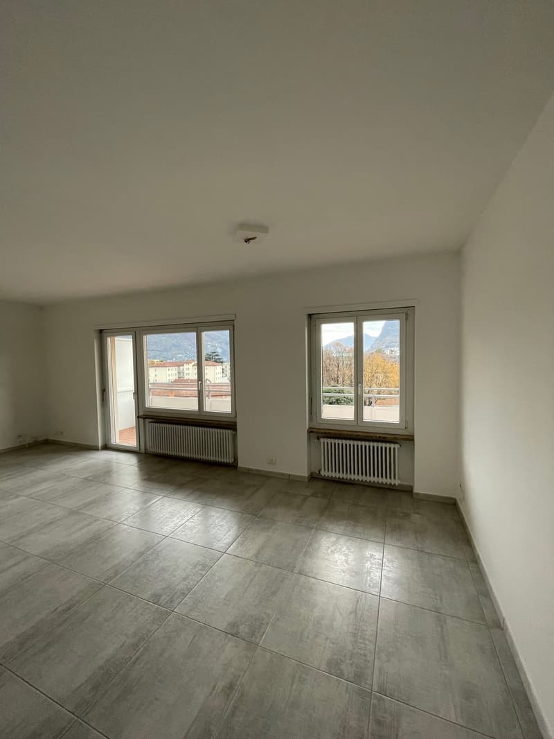 Vivere Lugano, a pochi minuti dal centro città (4)
