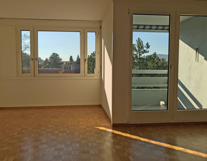 Gemütliche Singlewohnung (2)