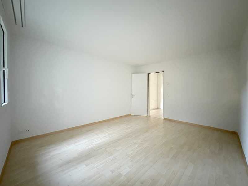 Ideale Singlewohnung mit Gartensitzplatz! (7)