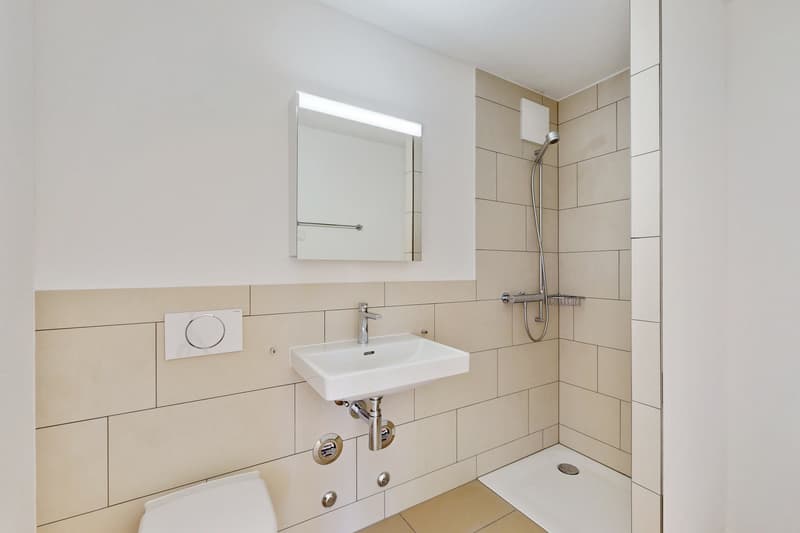 Modern Living - Altstetten (6)