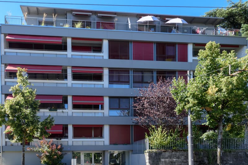 Joli 3.5 pièces à louer (2)