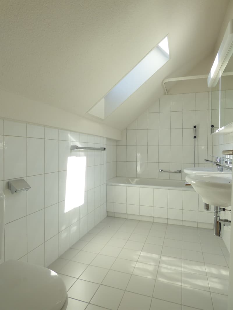 Dach-Maisonettewohnung an ruhiger Lage (6)