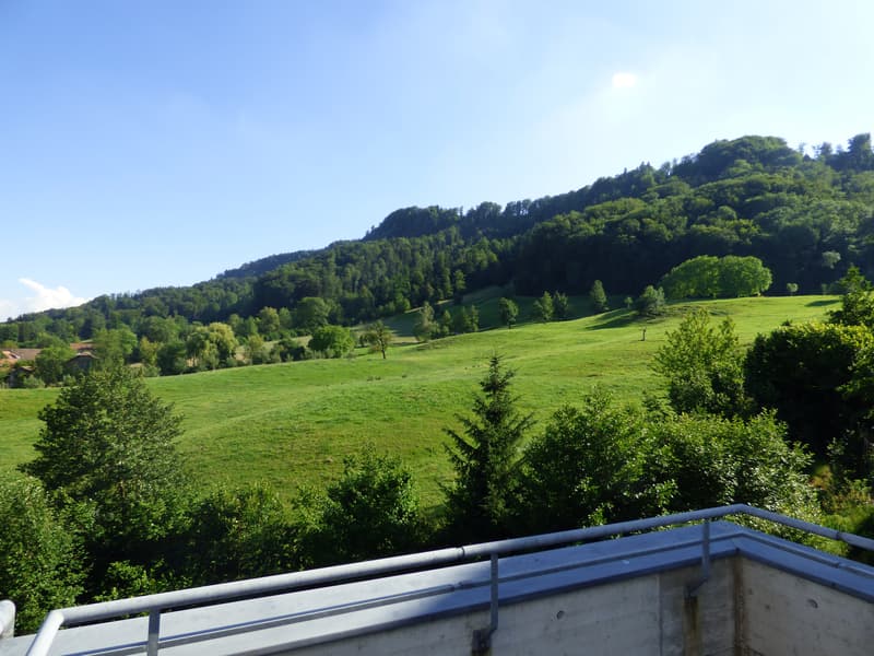 Dach-Maisonettewohnung an ruhiger Lage (7)
