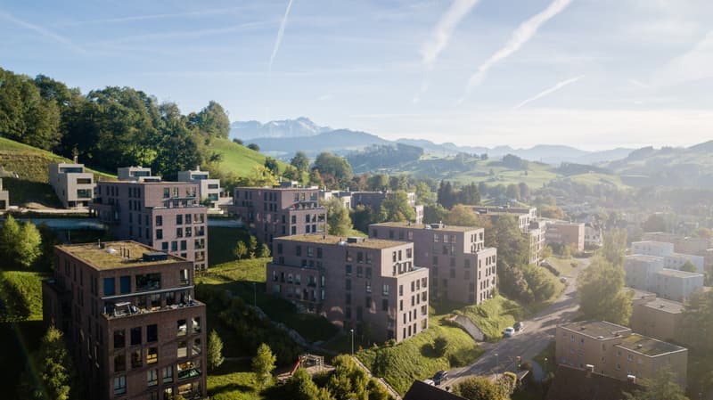 Ihr neues Zuhause mit grosser Terrasse! (2)