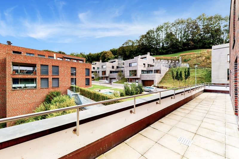 Ihr neues Zuhause mit grosser Terrasse! (10)