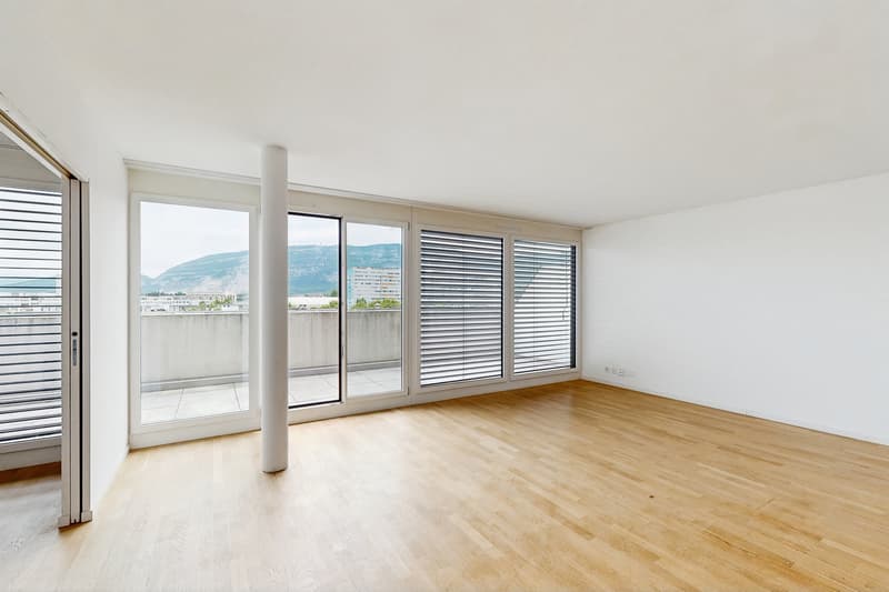 Superbe duplex en attique au Grand-Lancy (4)