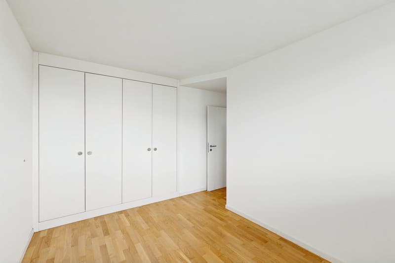 Superbe duplex en attique au Grand-Lancy (7)