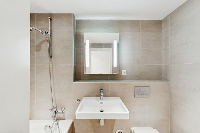 Superbe duplex en attique au Grand-Lancy (5)