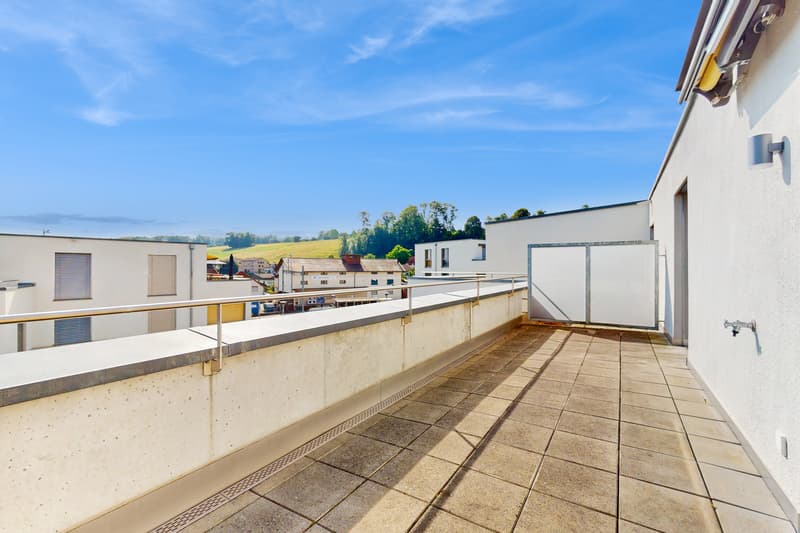 Topmoderne Attikawohnung mit grosser Terrasse (11)
