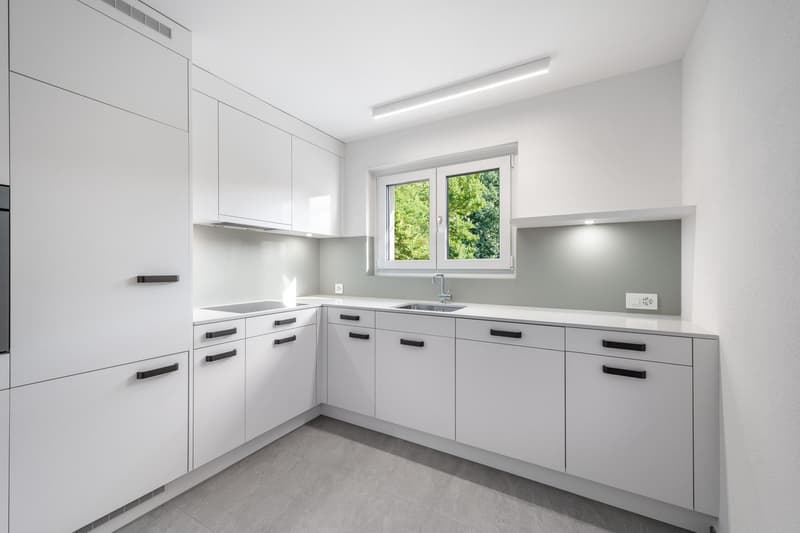 Renovierte 4.5-Zimmerwohnung mit Gartensitzplatz in Brugg (3)
