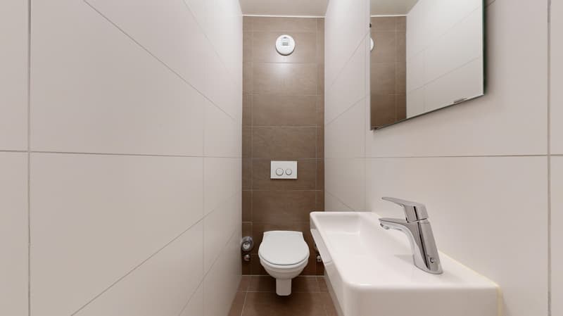 Spacieux logement à Epalinges (7)