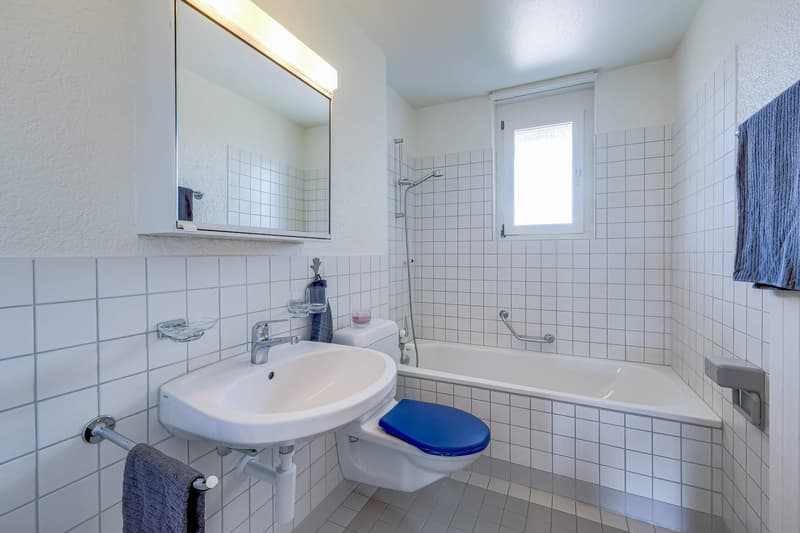 Gemütliche Dachwohnung (6)
