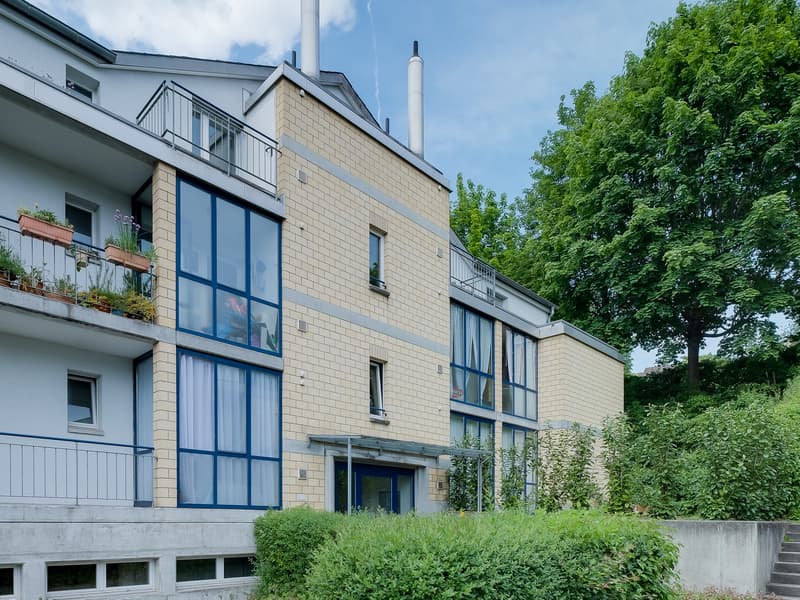 Gemütliche Dachwohnung (1)