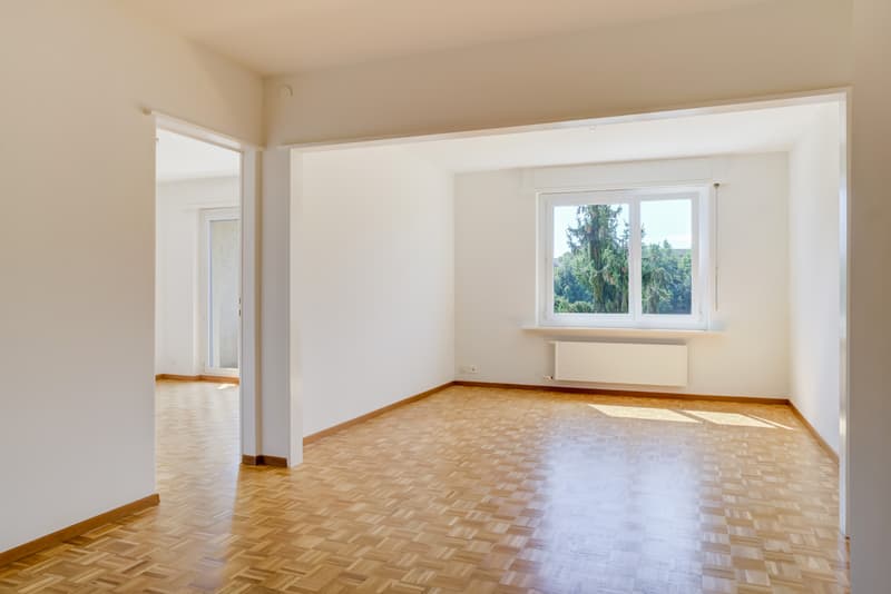 Bel appartement (3)