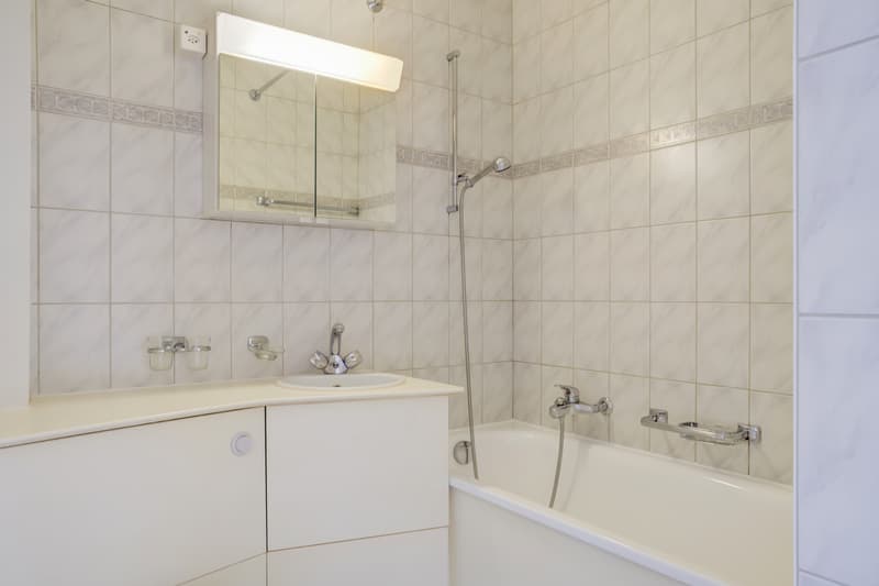 Bel appartement (7)