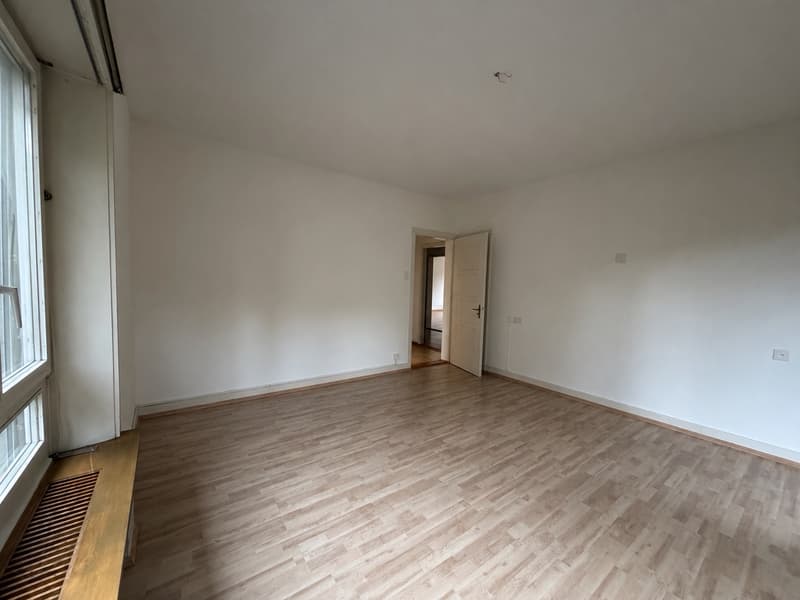 Grosszügige Wohnung an zentraler Lage (6)