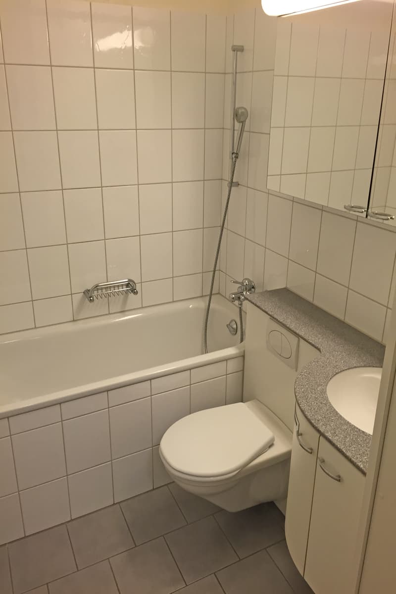 Attraktive Wohnung mit Gartensitzplatz (4)