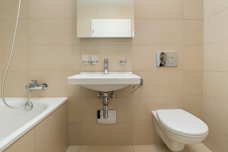 Appartement idéal à la Tour-de-Peilz (8)