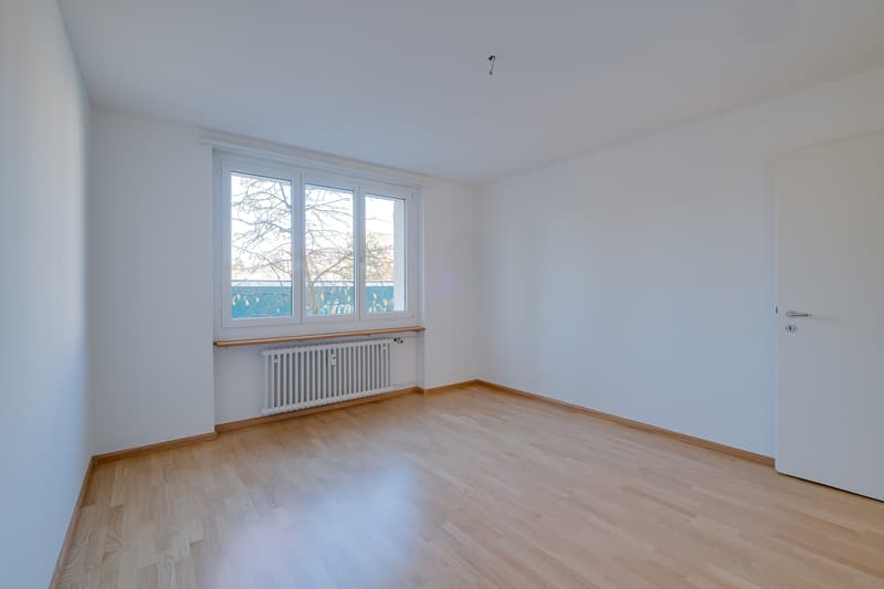 Charmante Wohnung Nähe Lindenplatz (7)