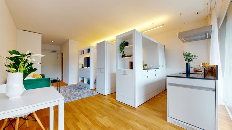Stilvoll möblierte Wohnung mit Weitsicht im 4. Obergeschoss (3)
