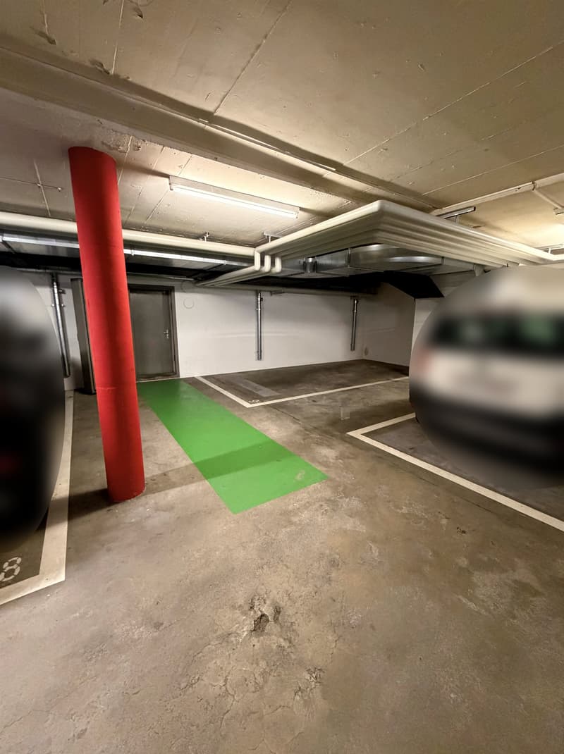 Parkplatz für Stadtbewohner! (1)