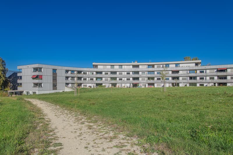 Naturnah und unweit von Solothurn entfernt - Mieter per 16.11. gesucht (10)
