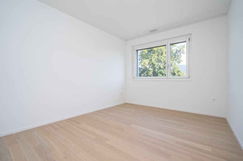 Naturnah und unweit von Solothurn entfernt - Mieter per 16.11. gesucht (6)