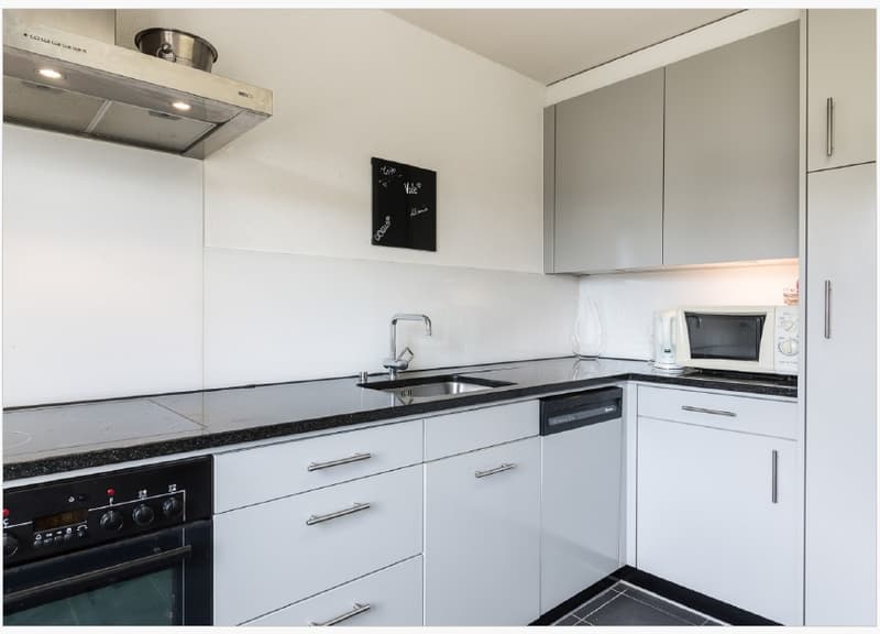 Gemütliche Single-Wohnung (3)