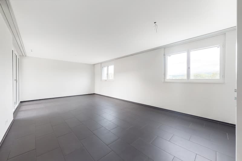Moderne Wohnung im TRIO Dietikon (4)